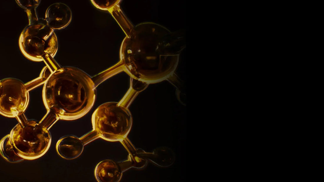 Exploring Peptides