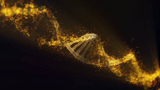 The Role of Peptides